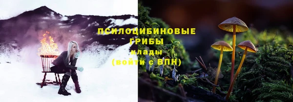 прущие крисы Алзамай