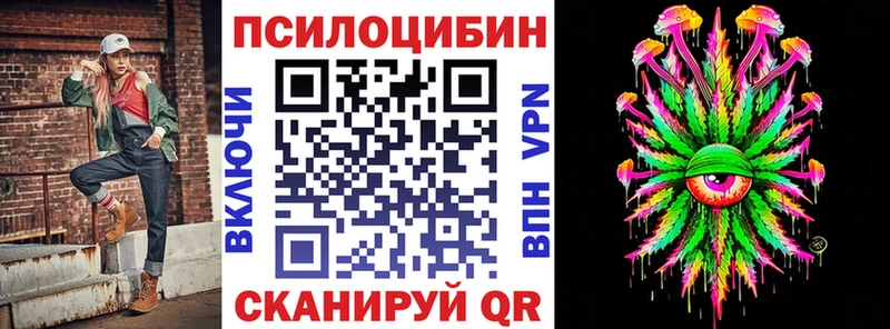 мега как войти  Котово  Псилоцибиновые грибы Psilocybe 
